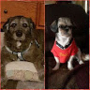 Meet your Posher, Lorraine